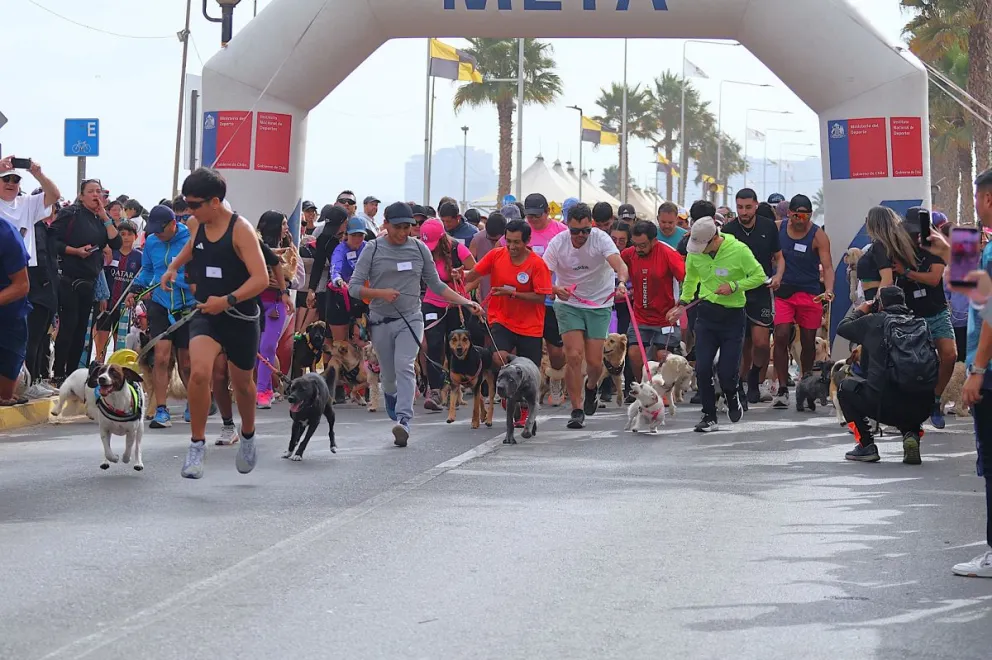 Personas corriendo con mascotas